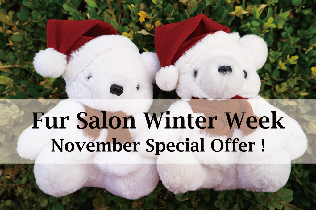 Fur Salon Winter Week.November Special Offer !